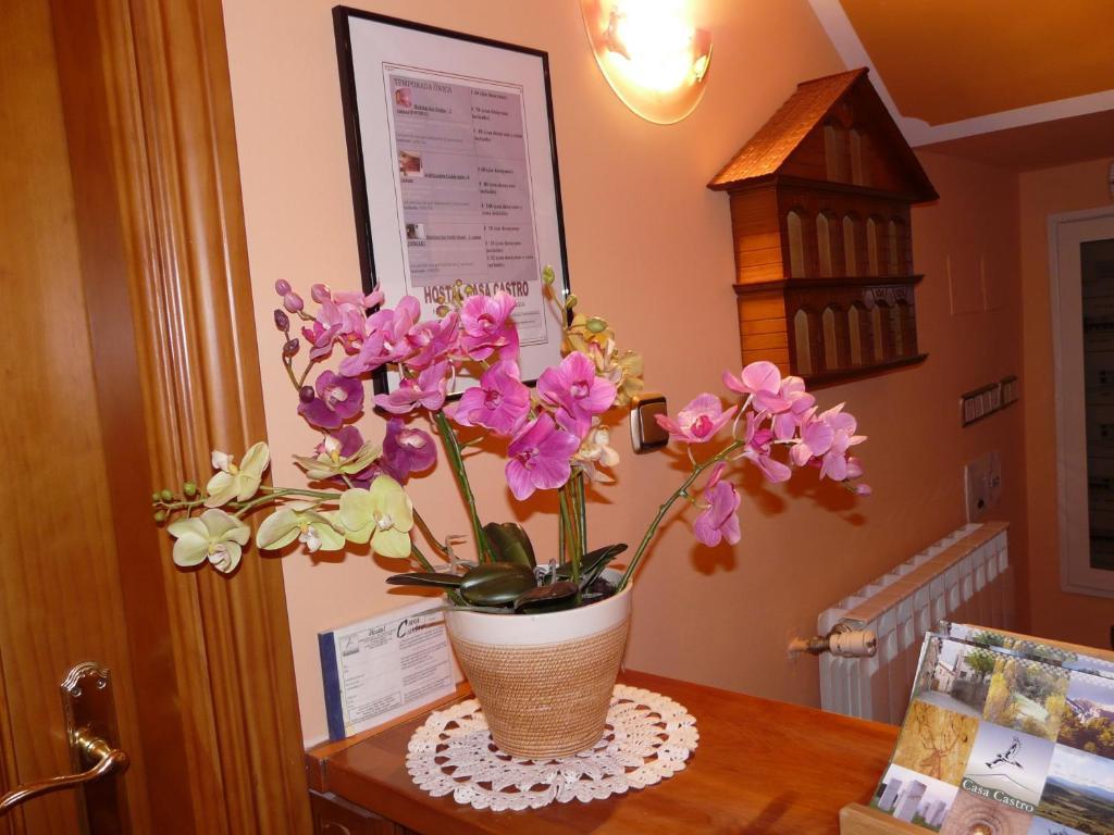 Hostal Rural Casa Castro Alberuela de la Liena Esterno foto